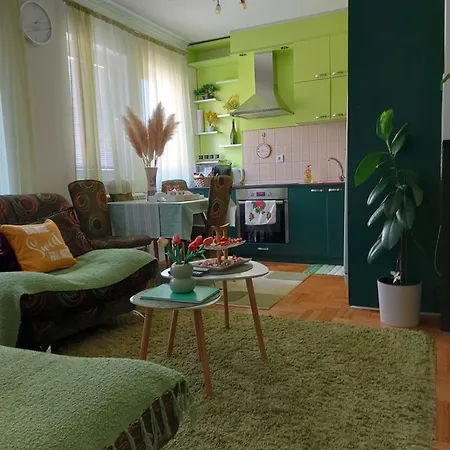 Stancicmilena Apartment Požarevac