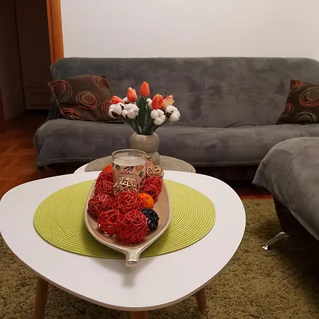 Apartment Stancicmilena *