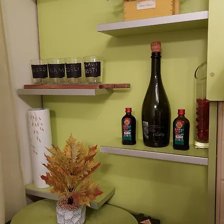 Stancicmilena Požarevac